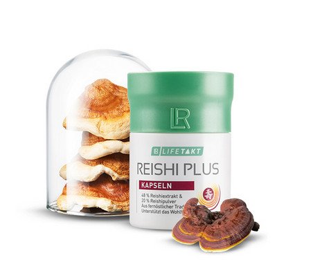 Reishi Plus en gélules