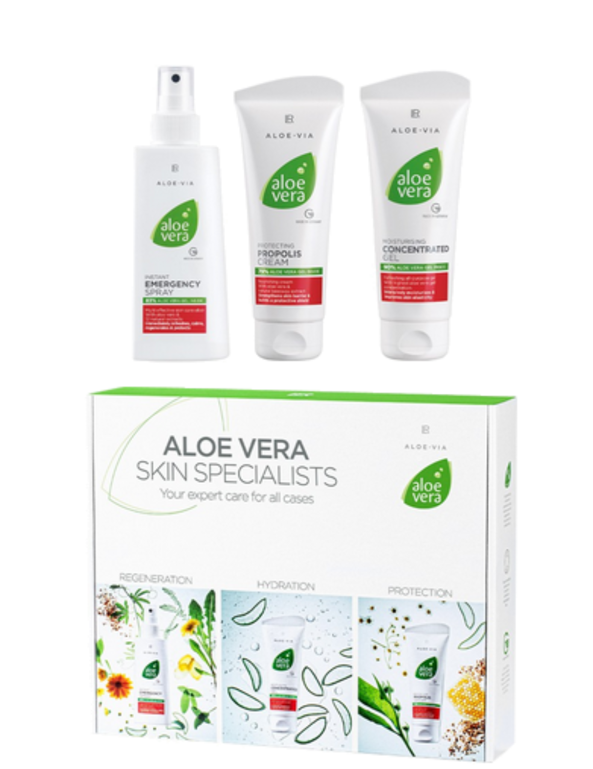 aloe vera pflanze kaufen wo Kaufen Sie jetzt Zimmerpflanze 2x Aloe vera 'Clumb' inkl. Dekotopf main image 0
