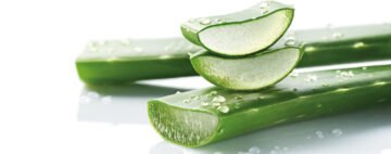Feuille fraîche d’Aloe Vera tranchée – gel naturel et pulpe riche en actifs hydratants.