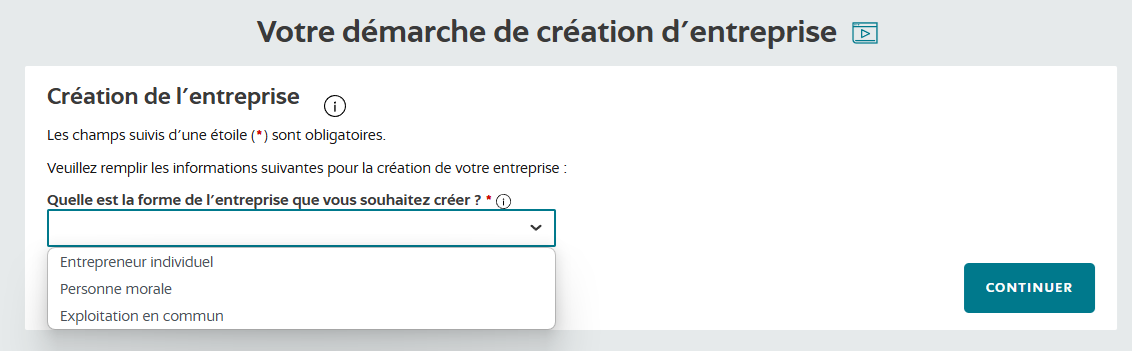 Choix de la forme juridique de l’entreprise sur le site de l’INPI – Sélection de "Entrepreneur individuel" pour les VDI