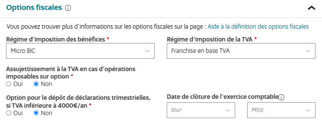 Options fiscales pour micro-entrepreneur VDI en micro BIC et franchise en base de TVA