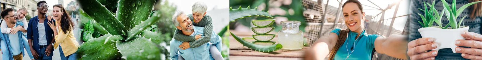 Aloe Fermented Power - LR Health & Beauty
