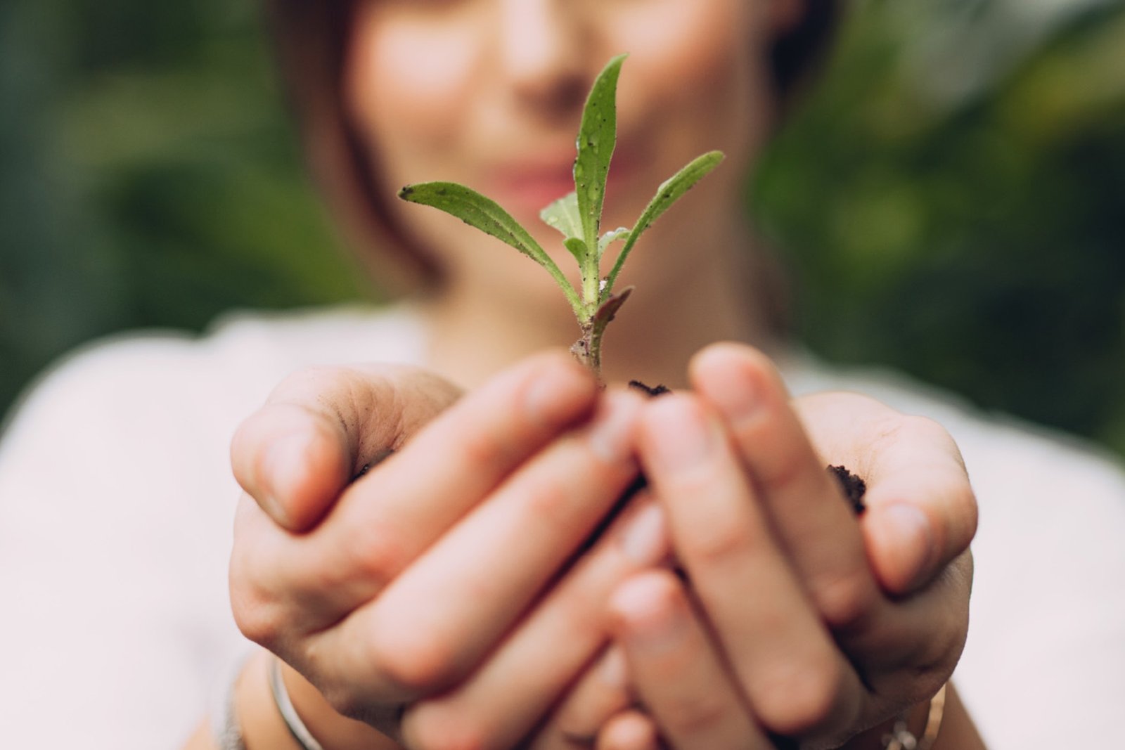 Des mains tiennent une petite pousse verte dont les racines sont encore recouvertes de terre. La personne à l'arrière-plan est floue ; l'accent est mis sur la jeune plante, symbole de croissance et de durabilité.